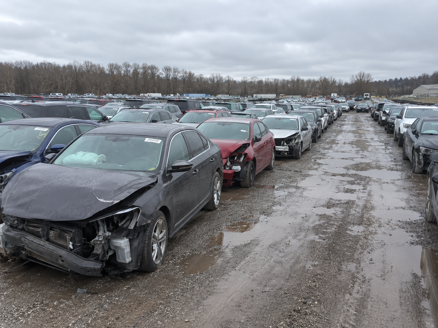 selling Cat S and Cat N vehicles