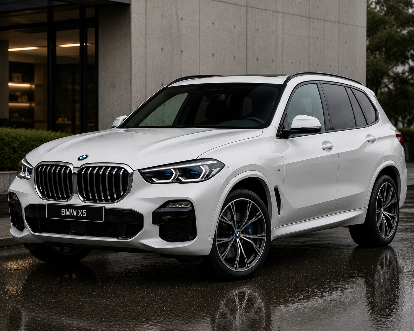 BMW X5