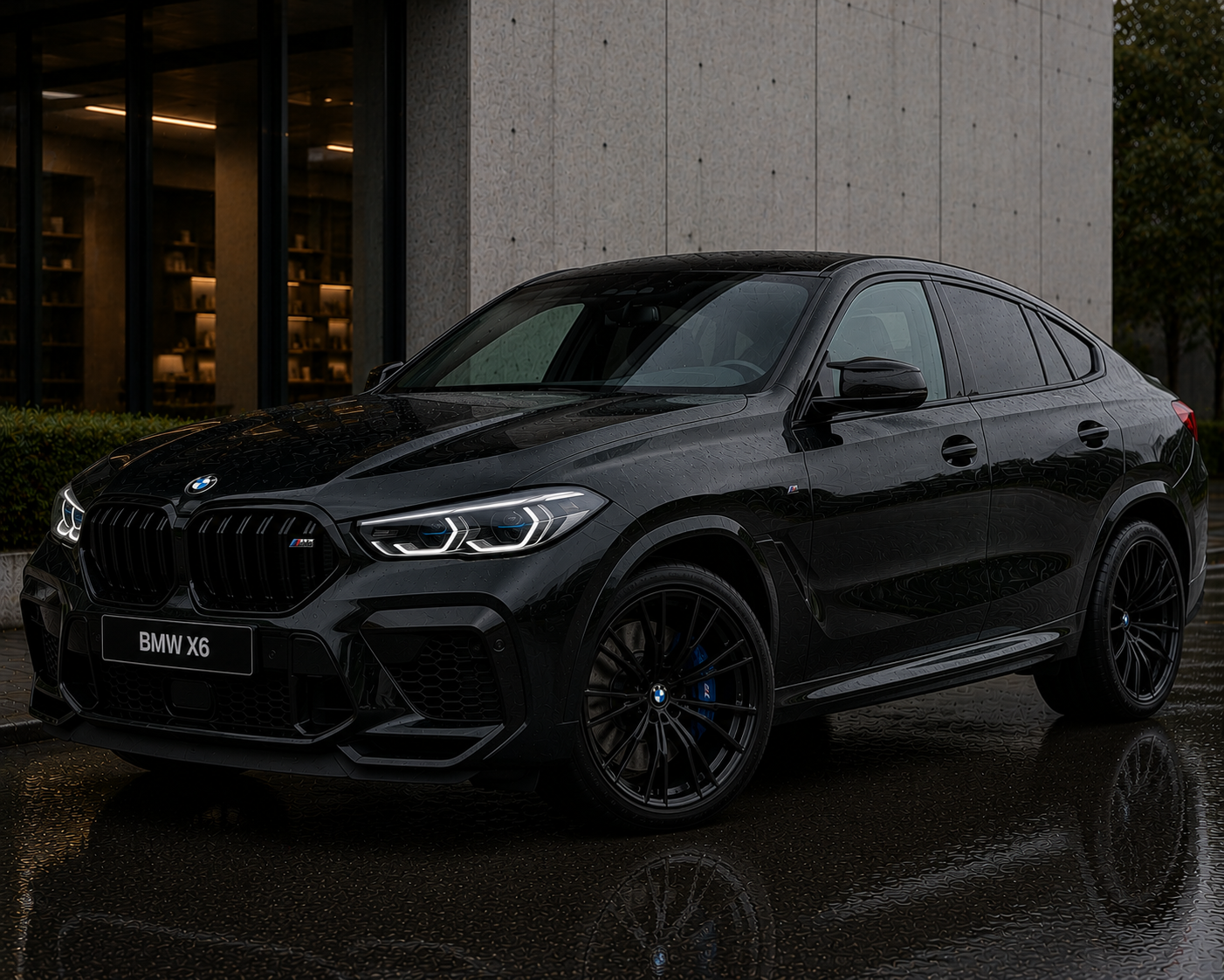 BMW X6